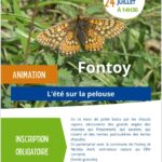 N’hésitez pas à aller à la découverte des insectes !